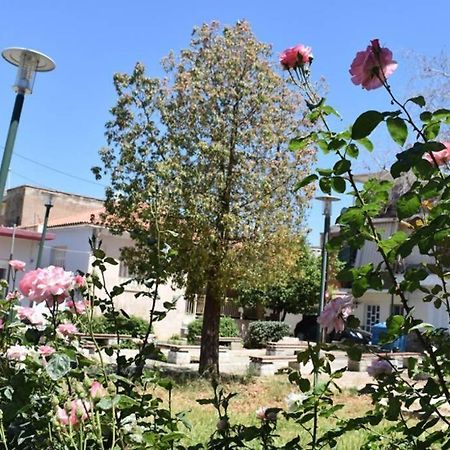 "Amelie" - Kalamata Centre Family Apartment Exterior foto
